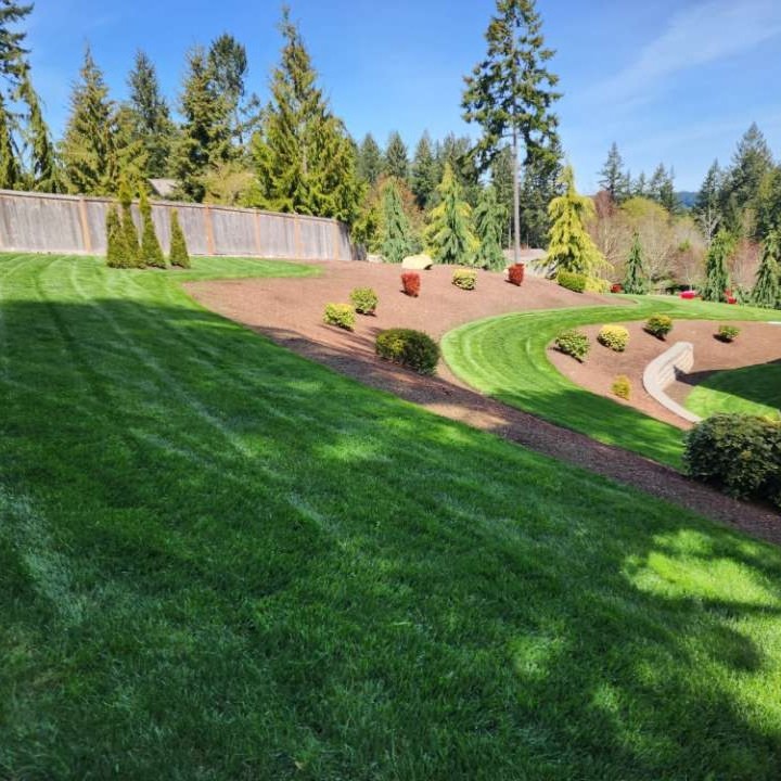 Lawn Care
